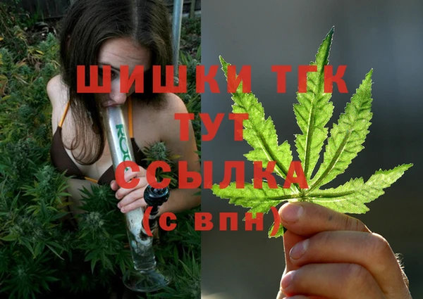 прущие грибы Володарск
