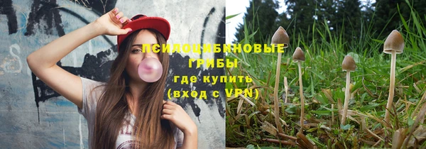 сатива Мегион