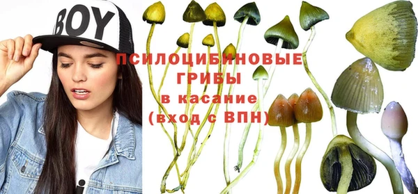 сатива Мегион