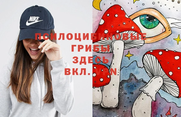 молекула духа Волосово
