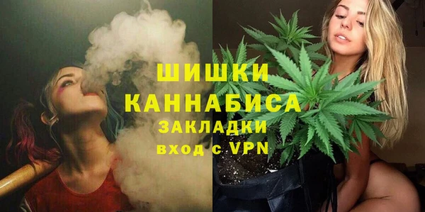 молекула духа Волосово