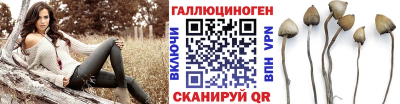 Галлюциногенные грибы Psilocybine cubensis hydra зеркало Ершов